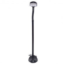 Load image into Gallery viewer, 5 Ft Adjustable Deluxe Natural Light Floor Lamp-Black
