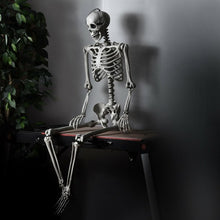 Load image into Gallery viewer, 5.4ft Halloween Skeleton Life Size Realistic Full Body Hanging
