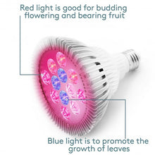 Load image into Gallery viewer, 24W E27 12 LED Grow Hydroponic Plant Garden Light Lamp Bulb
