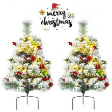 Load image into Gallery viewer, Set of 2 Outdoor 24in Battery Powered Pre-lit Pathway Flocked Christmas Trees
