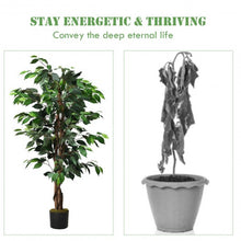 Load image into Gallery viewer, 4 Feet In/Outdoor Trunks Artificial Ficus Silk Tree
