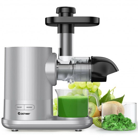 Horizontal Slow Masticating Extractor Juicer with Brush-Silver