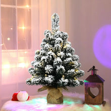 Load image into Gallery viewer, 24&quot; Pre-Lit Snow Flocked Tabletop LED Light Christmas Tree

