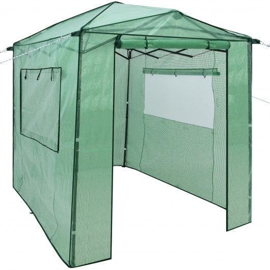 6'x 8' Portable Walk-in Greenhouse W/Window-Green