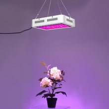 Load image into Gallery viewer, 1000 W Indoor Full Spectrum LED Plants Grow Lamp
