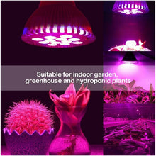 Load image into Gallery viewer, 24W E27 12 LED Grow Hydroponic Plant Garden Light Lamp Bulb
