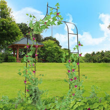 Load image into Gallery viewer, 8&#39;4&quot; x 4&#39;7&quot; Gothic Steel Rose Arch
