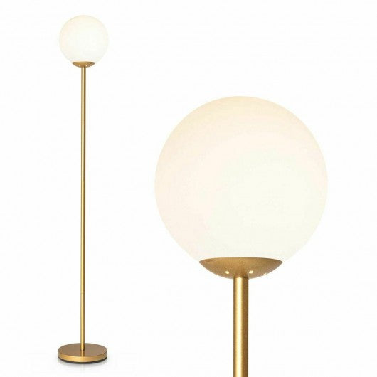 Glass Globe LED Floor Lamp w/ Acrylic Lampshade