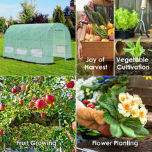 Load image into Gallery viewer, 6 Windows Steel Frame Backyard Walk-in Greenhouse
