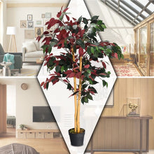 Load image into Gallery viewer, 4-Feet Artificial Capensia Bush Indoor-Outdoor Leaves
